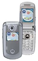 Motorola e815